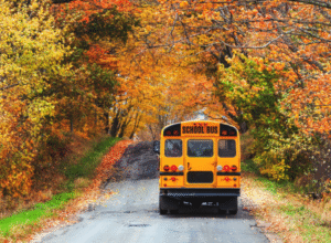 Co-Parenting During the School Year: Staying on Track
